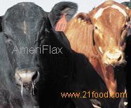 Flaxseed in Animal or Poultry Feed