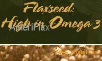  flaxseed 