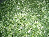 FD spring onion