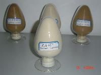 Mushroom powder and extract