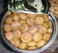Canned mushrooms(Whole)