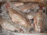 red tilapia fish