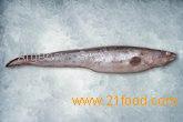 Kingclip fish