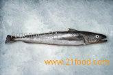 Hake Hubbsi / Whiting