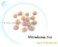 macadamia nut