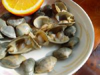  frozen  baby  clam - frozen  yellow  clam - frozen   white   clam - frozen  mussel