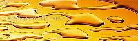 Lecithin