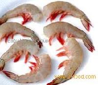 Head Less White Shrimp