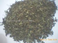 Orthosiphon stamineus dry leave