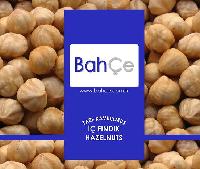  Hazelnut 