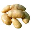 potato,ginger,garlic,cabbage.dry chilli