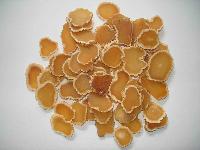  ginseng  slice