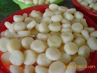 Canned Water Chestnuts
