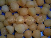 IQF hami melon ball