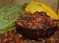 Wild Balinese Cacao