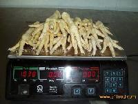 Unprocessed  chiken   feet  and paw