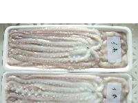 FROZEN LONGLEG OCTOPUS