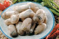Single frozen oyster