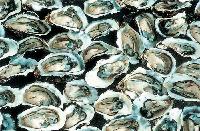 Frozen oyster with half shell