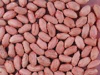 Peanut kernels