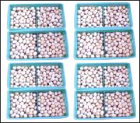  Egg   Shell   Powder 