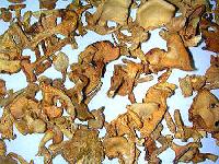 Mushroom - Dried Cantharellus Cibarius