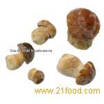 Frozen Porcini Corks