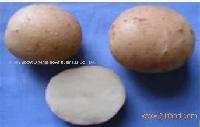 Atlantic  potato