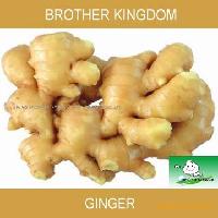 Ginger