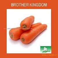 Carrot