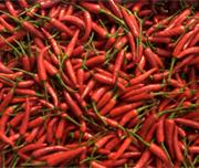  Spicy  food