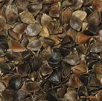 buckwheat  hull 