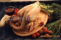 FARMED CHICKEN