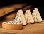 Gruy¨¨re cheese