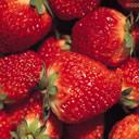 strawberry juice concentrate