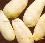 Almond