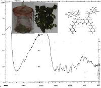  Carthamin 