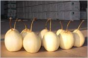 ya pear