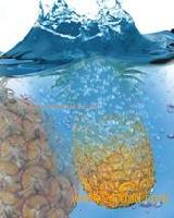 Pineapple Juice Concentrate