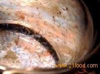  shrimp   fry 