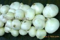 white onion