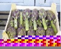 artichoke