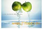 Apple Juice Concentrate 71% Brix