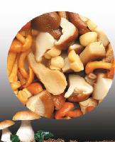 Mixed mushrooms