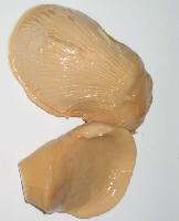 Canned bailing mushrooms