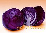Red Cabbage
