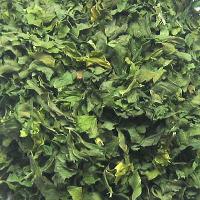 Dehydrated Celery leaves