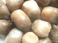 canned paddy straw mushroom