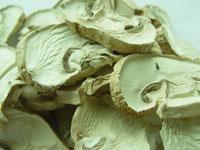 Dehydrated Mushroom