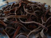 Frozen Black fungus